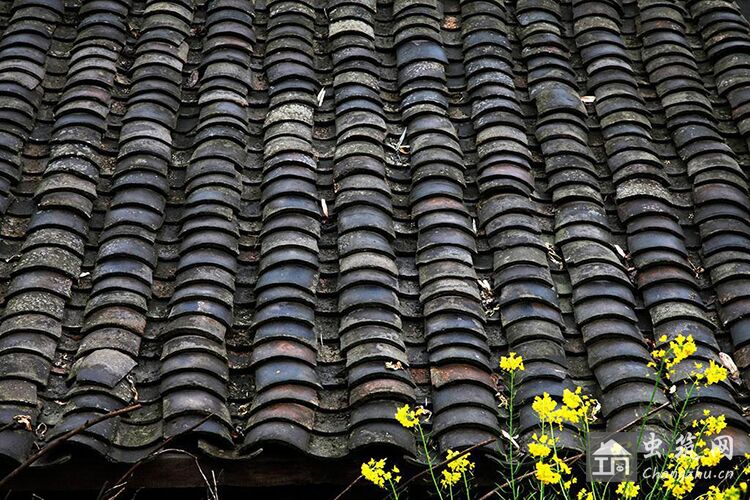 自建房设计房屋顶形式分析