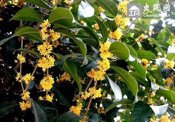 自建房风水